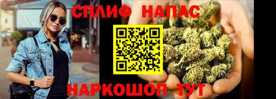 бошки Кимры