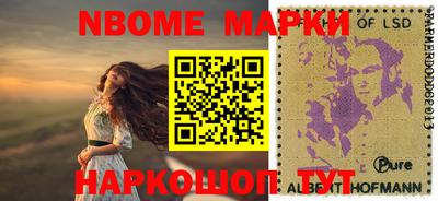 стаф Кингисепп