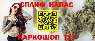 стаф Кингисепп
