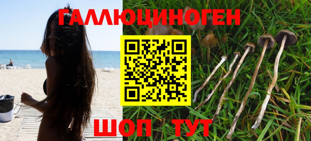Галлюциногенные грибы Psilocybine cubensis  Псилоцибиновые грибы Psilocybe  Биробиджан  закладка  Вход с VPN 